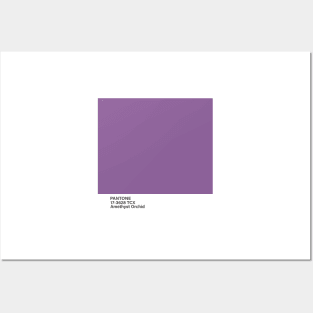 pantone 17-3628 TCX Amethyst Orchid Posters and Art